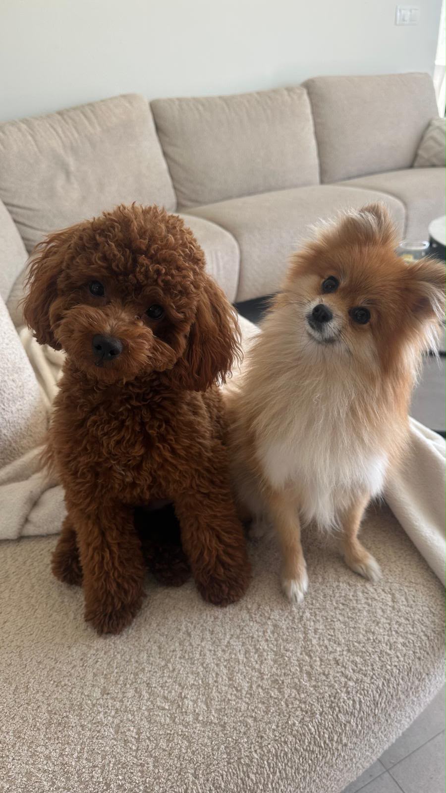 Louis & Lio